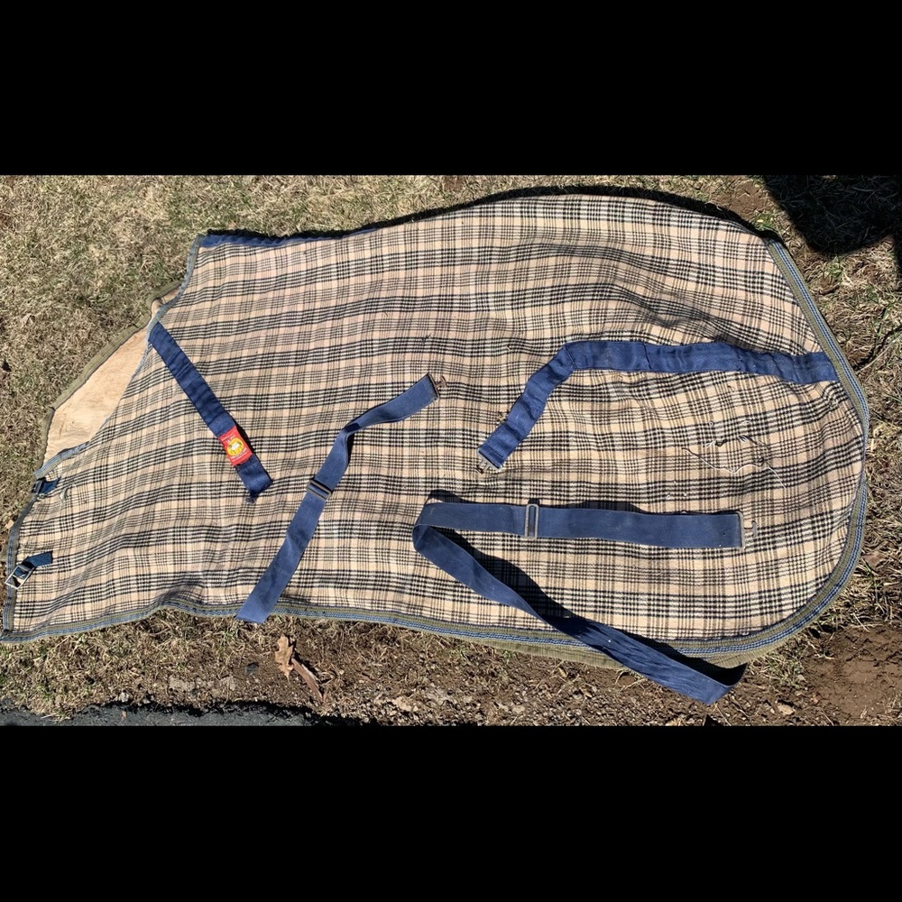 Authentic baker sheet horse